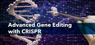 courses technology crispr course