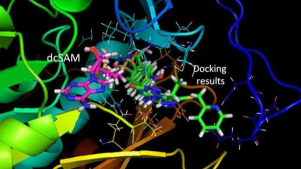 Computer Aided Drug Design Discovery