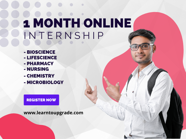30 Days Internship Certification Program | Online Internship