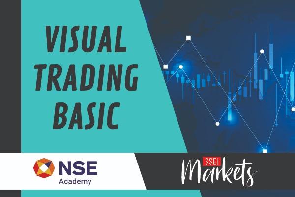 VISUAL TRADING BASIC ( ID-1438 ) cover