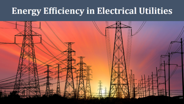 Efficient Utility Energy Efficiency in Electrical Utilities