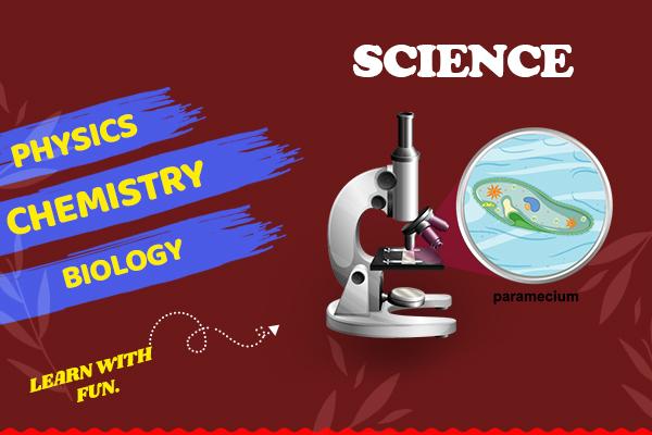 abc-classes-gandhinagar-courses