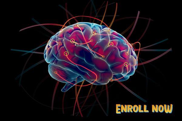 ubat demam kanak kanak