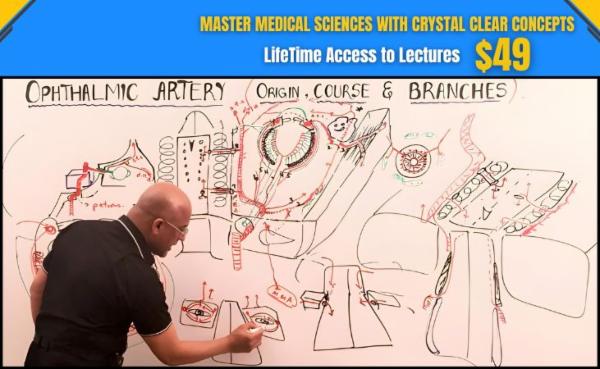 Dr Najeeb Lectures courses