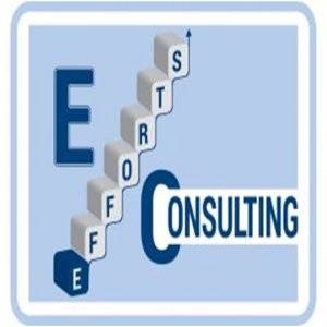Efforts Consulting Efforts Consulting